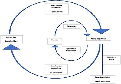 The paradigm shift in allergy consultations through a digital ecosystem